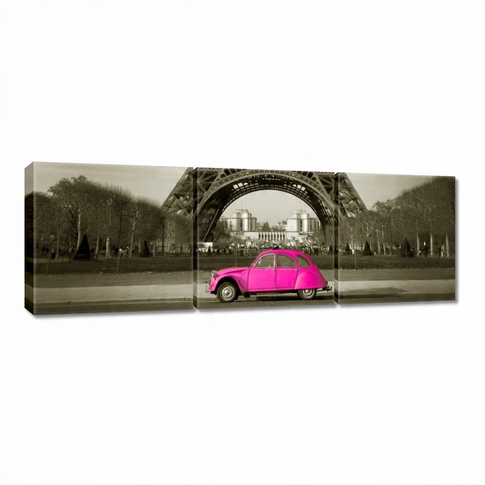 

Obrazy 150x50 Różowy Citroen w Paryżu