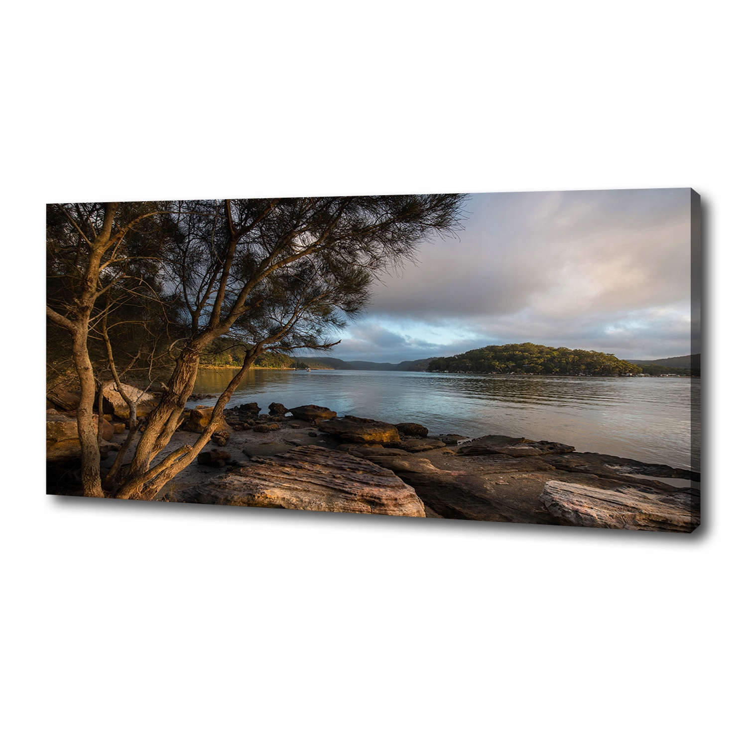 

Foto obraz na płótnie Drzewo nad rzeką 125x50 cm