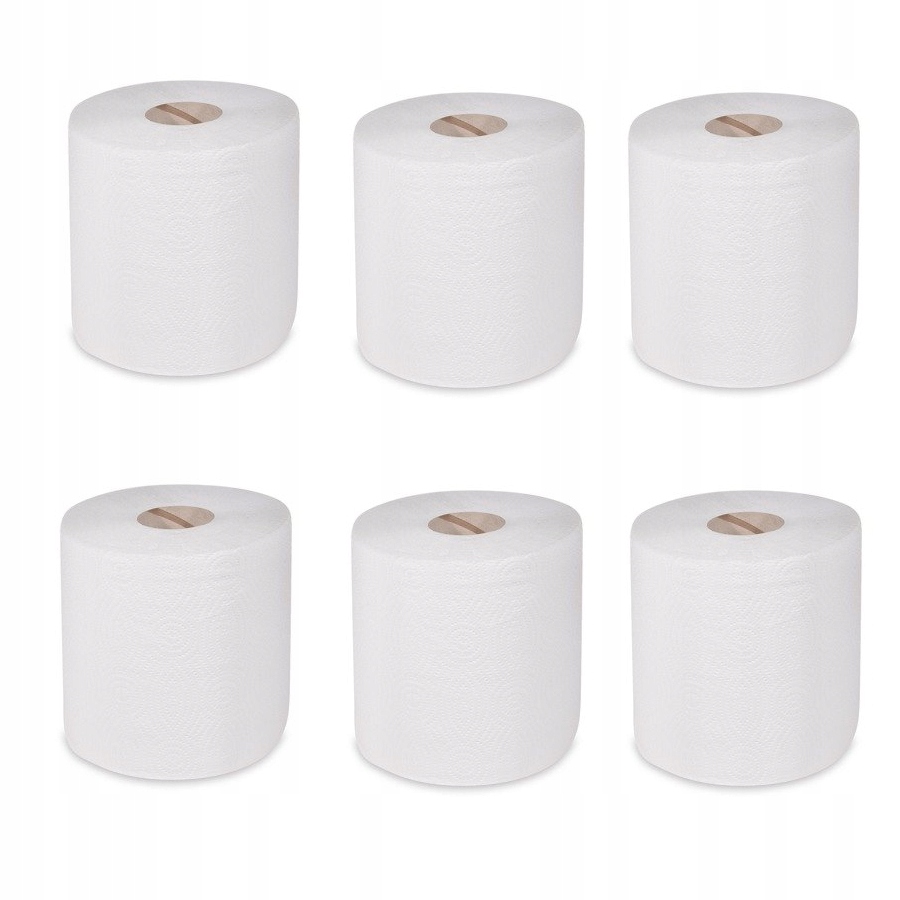 Levně Papírové ručníky s perforací kuchyňské v roli 19 Cm 100 m 6 ks eko