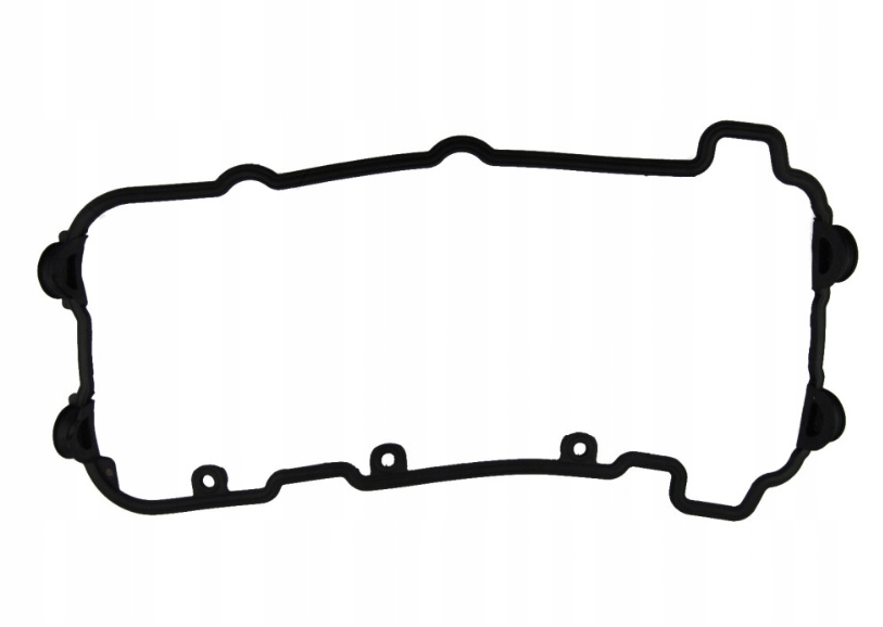 Tesnenie Krytu Ventilu Kapy Oem Triumph Sprint 1050 St 2005-2010