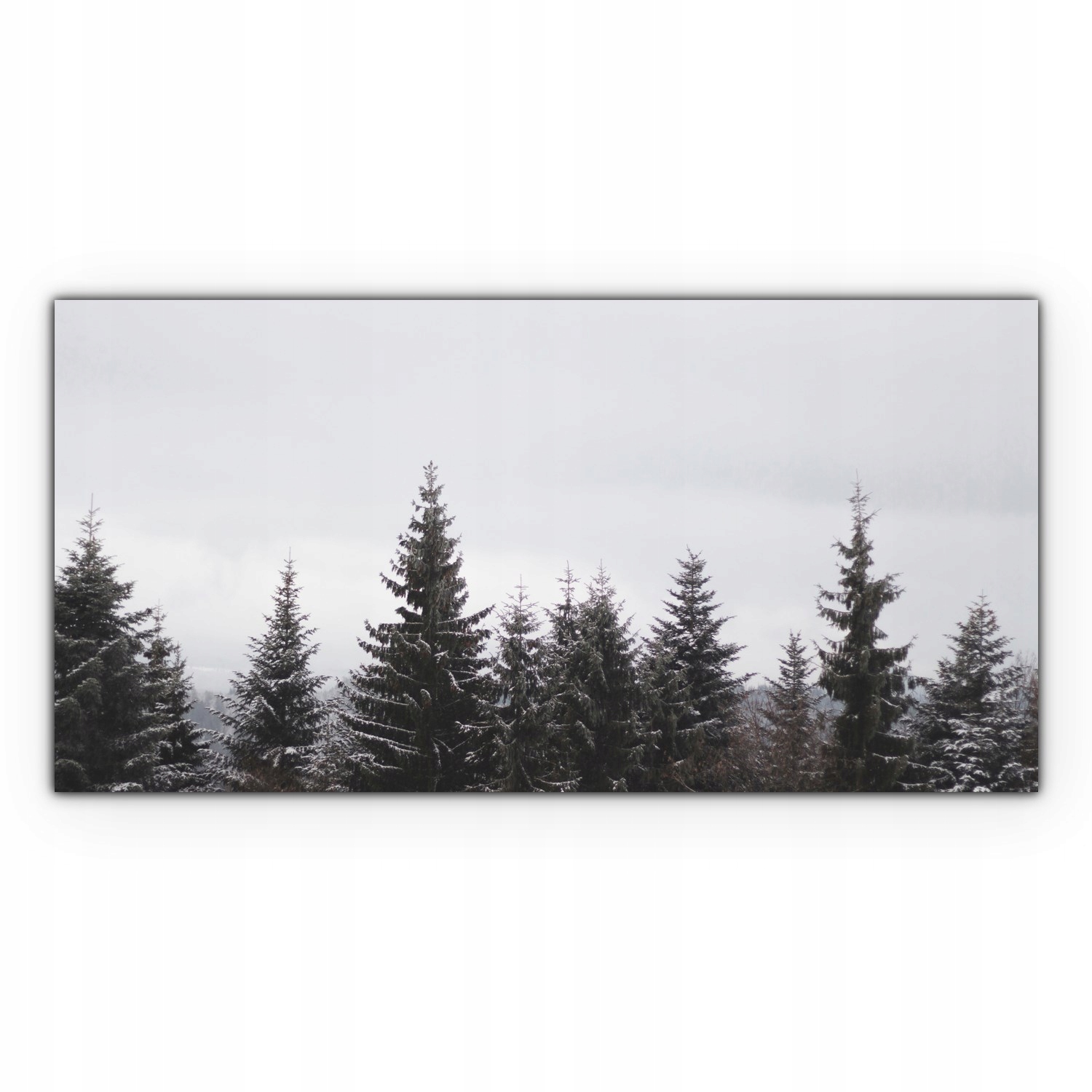 

Canvas na ramie ścienny 120x60 Drzewa Las Natura