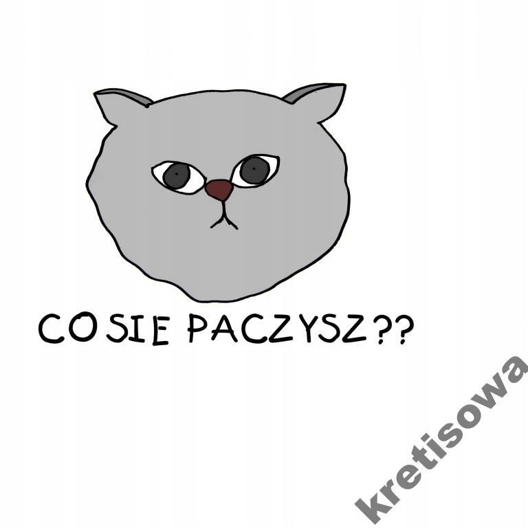 

Damska koszulka Co Ja Pacze Paczyzm Hit Kot c1