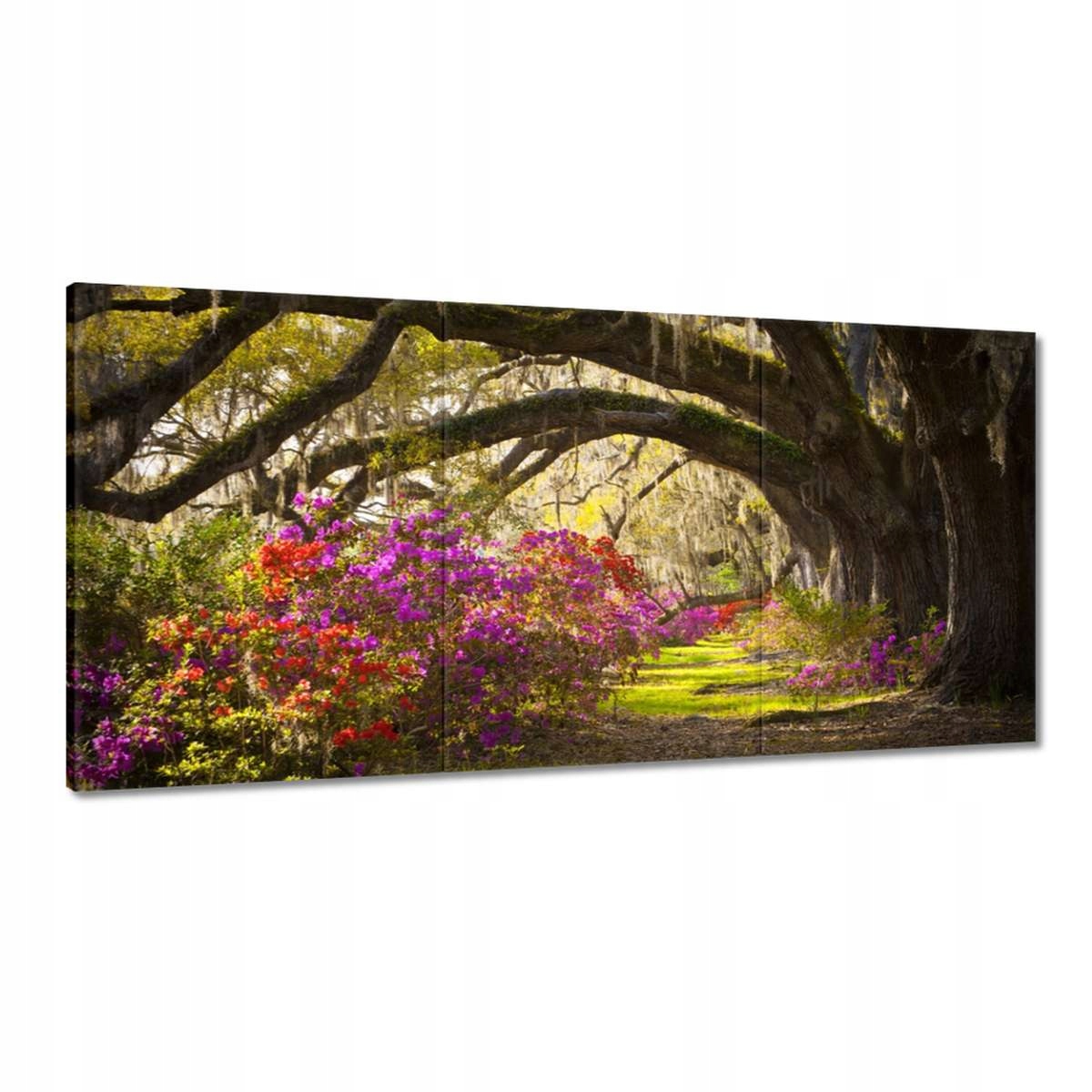 Obrazy 180x90 Dubová ulička