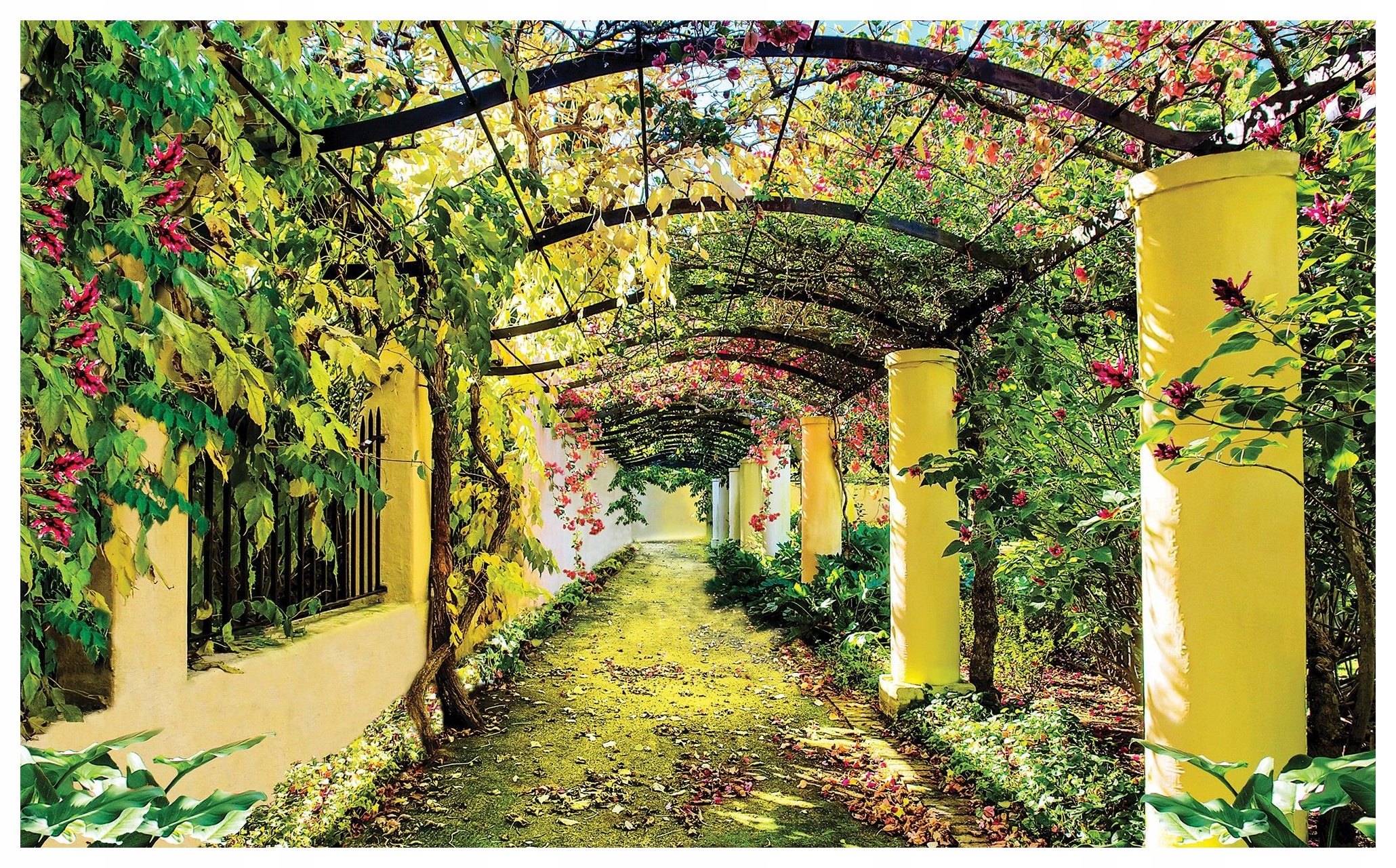 Fototapeta Kvetoucí vinylová alej 416x254 Zelený tunel Letní zahrada lepidlo