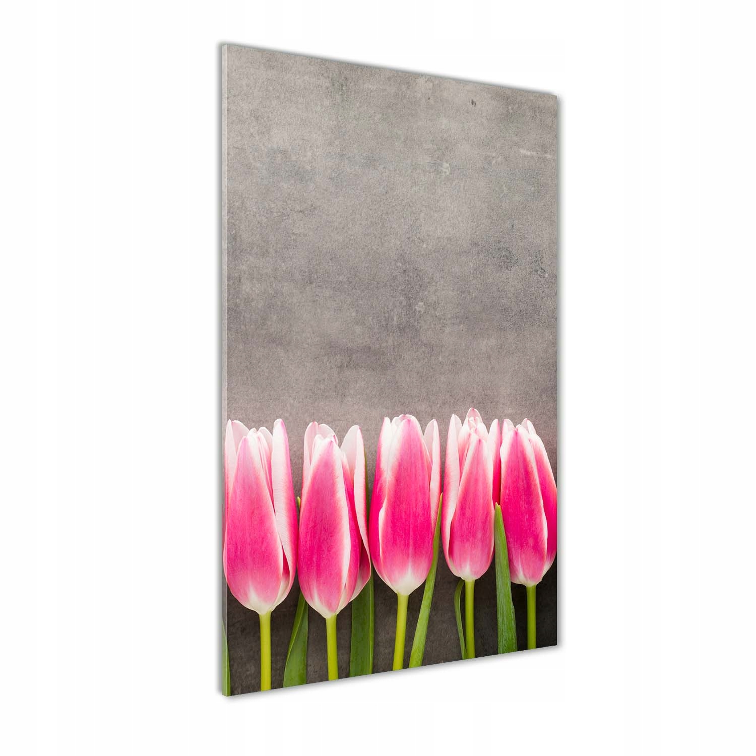 Fotoobraz sklo Růžové tulipány 60x120 cm