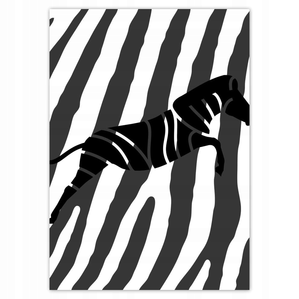 

Plakat 50x70 Zebra Paski