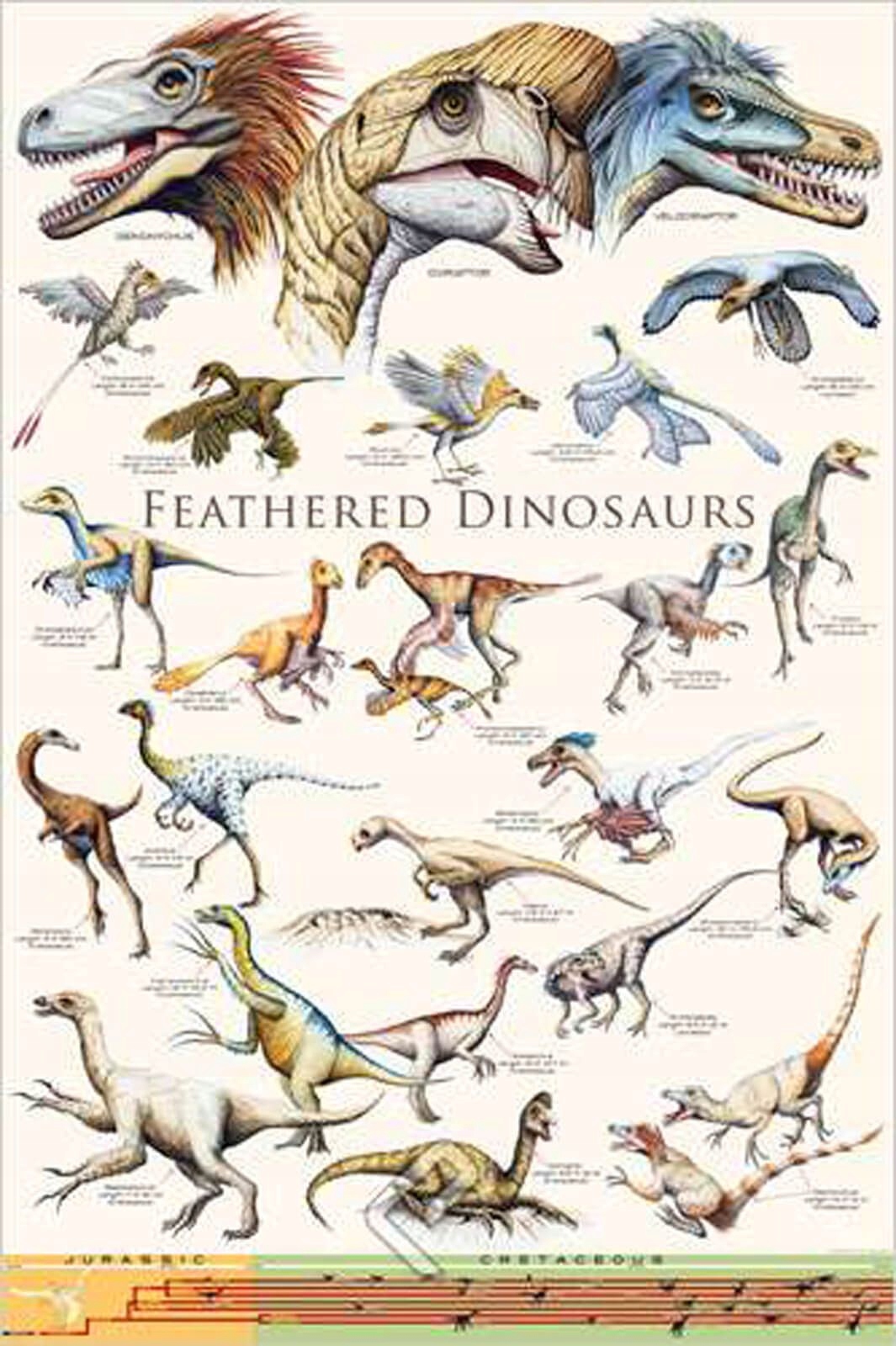 

Plakat na ścianę Dinozaury dl chłopca 61x91,5 cm