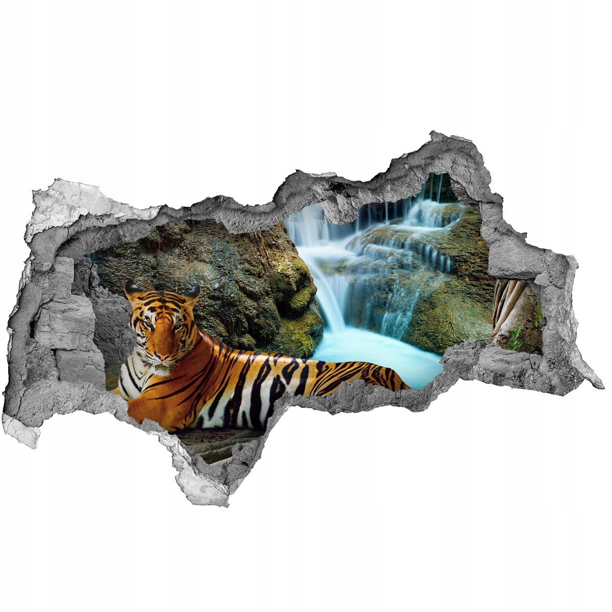 

Dziura 3d fototapeta Naklejka Tygrys wodospad