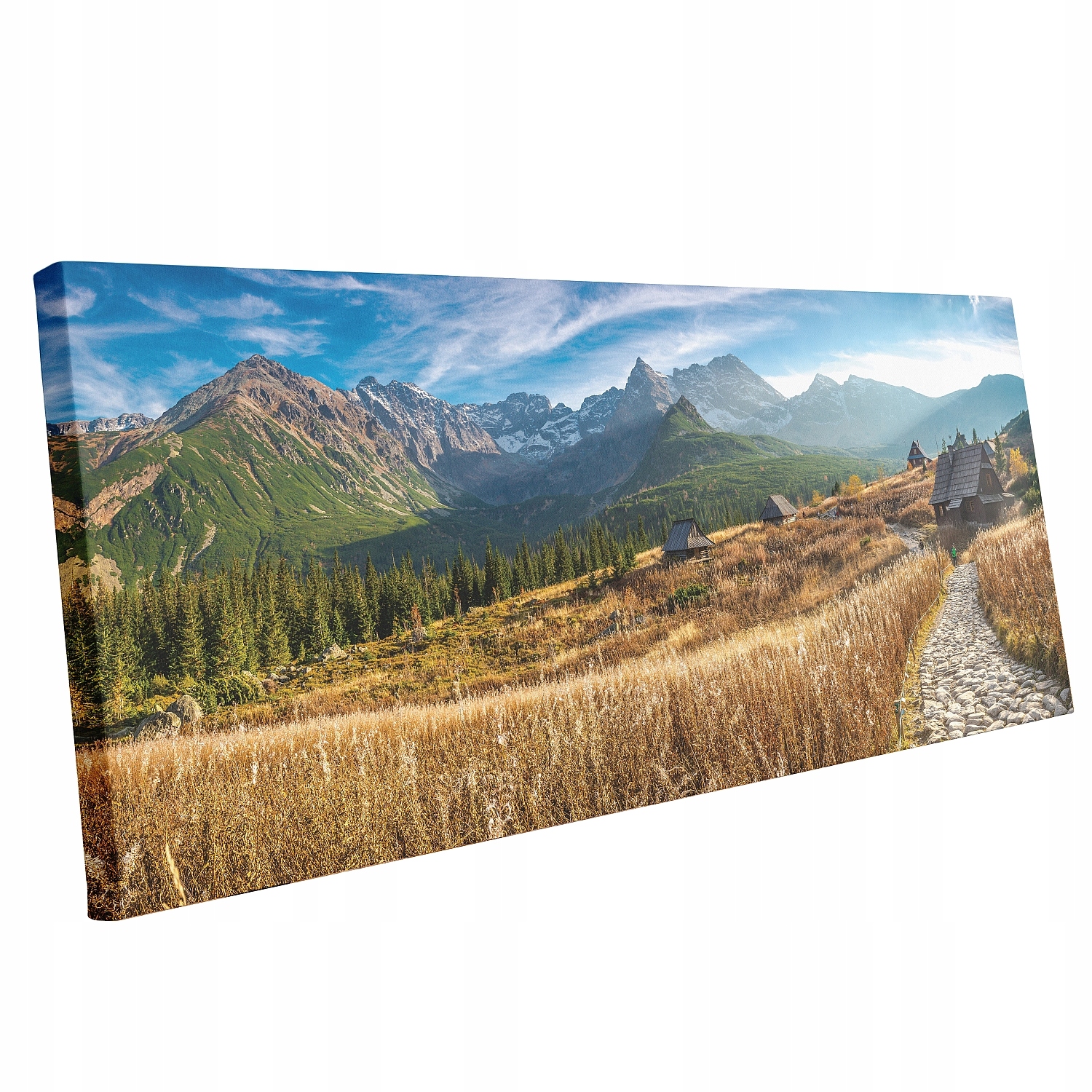 

Obraz góry Tatry na płótnie 150x70 Hala Gąsienicow