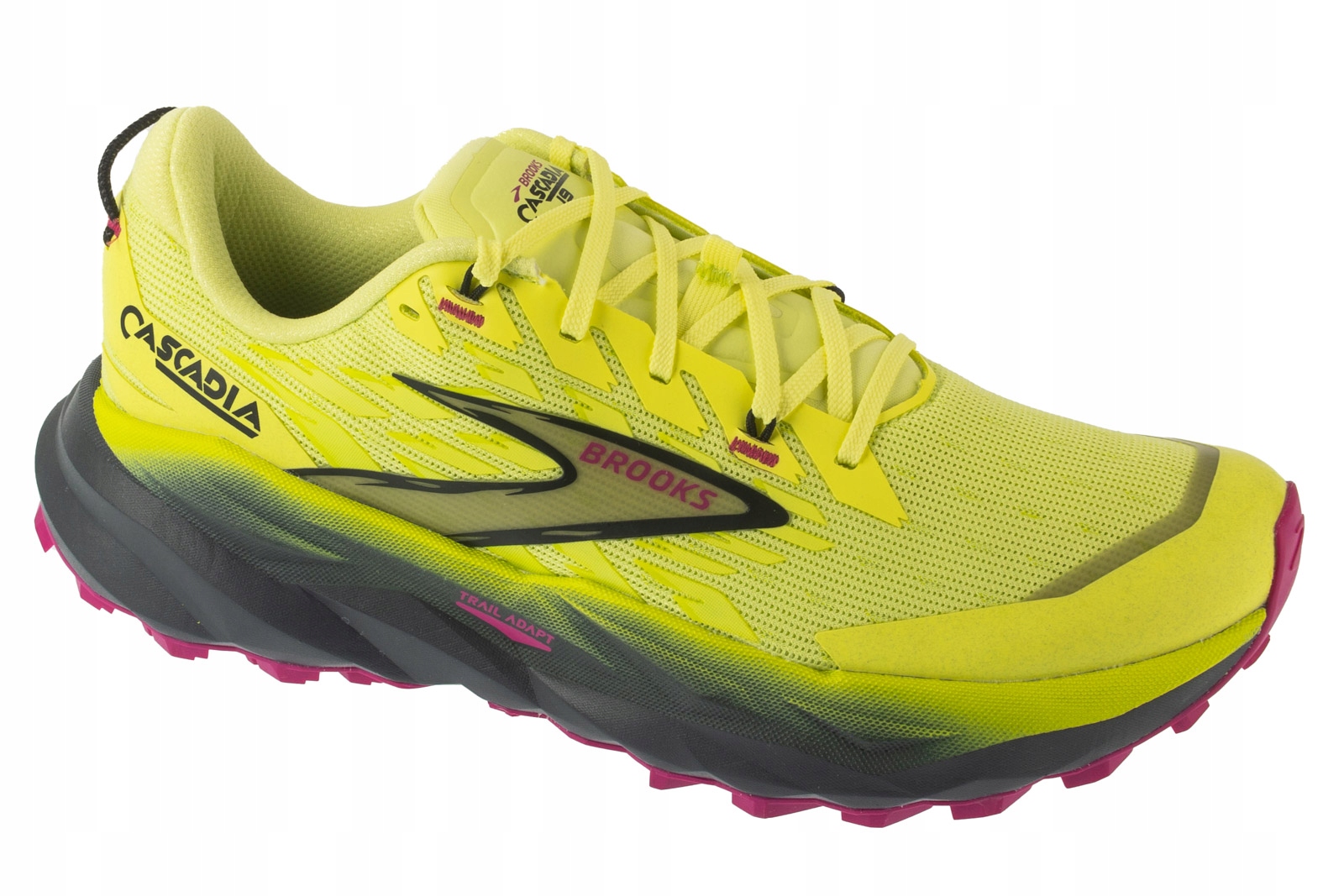 Damskie buty do biegania Brooks Cascadia 19 r.39