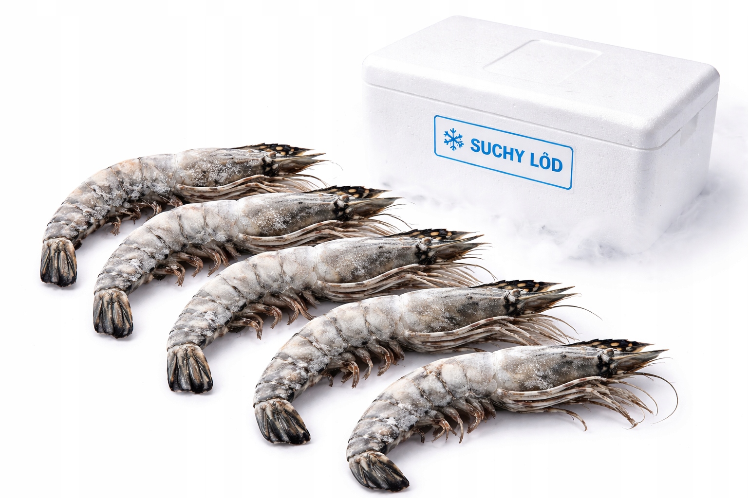 Krewetki 6/8 Black Tiger surowe z głową z ogonem bardzo duże xl suchy lód