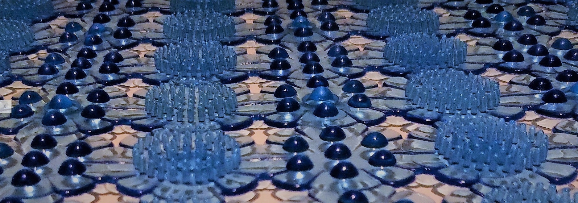 MATA ANTYPOŚLIZGOWA DO WANNY BRODZIKA CACTUS N Kod producenta CACTUS N