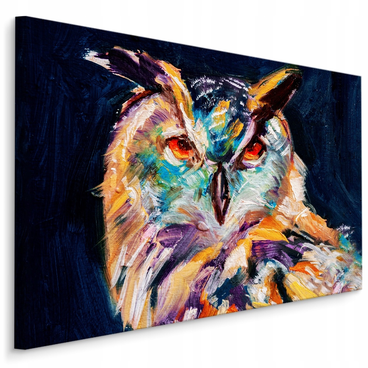 

Obraz canvas kolorowa sowa ptak malarstwo 90x60