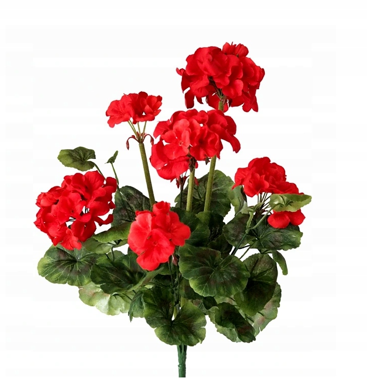 

Pelargonia sztuczne kwiaty Bukiet wybór 3 kolorów