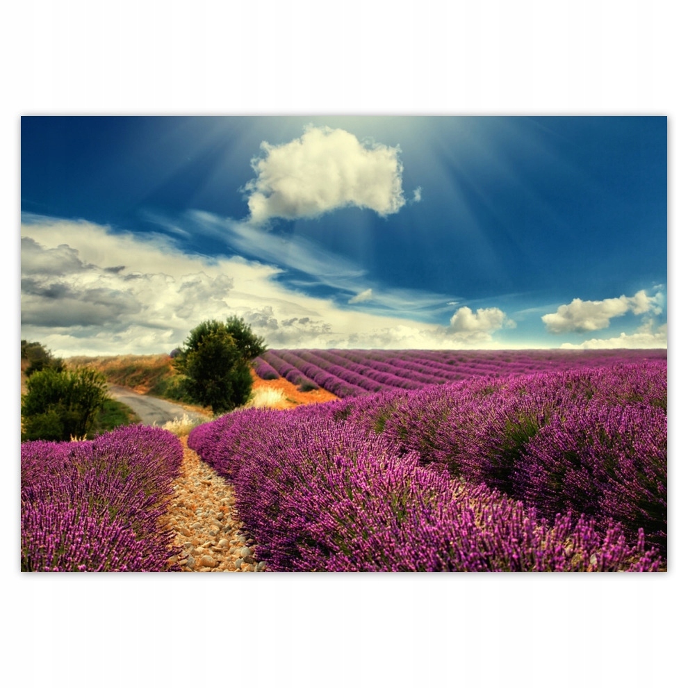 

Fototapety flizelina 208x146 Lawendowy pejzaż