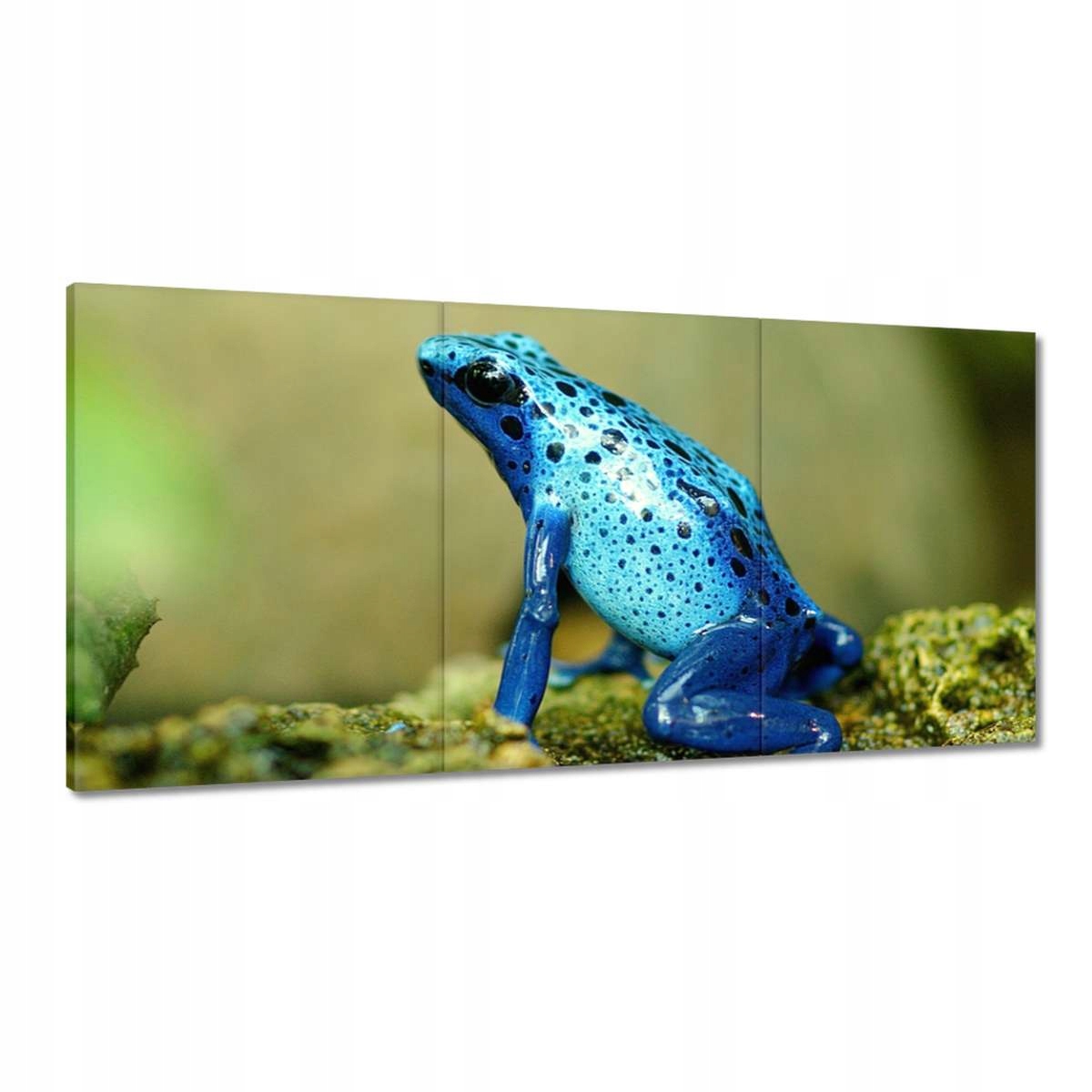 Obrazy 180x90 Zvieratá Zvieratká