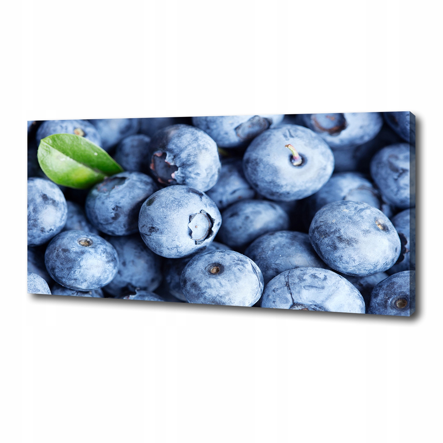 

Foto obraz duży canvas na ścianę Jagody 125x50 cm