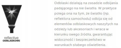 RĘKAWICZKI ZIMOWE 4F MĘSKIE DAMSKIE DOTYKOWE DO TELEFONU ODBLASKOWE Rozmiar L