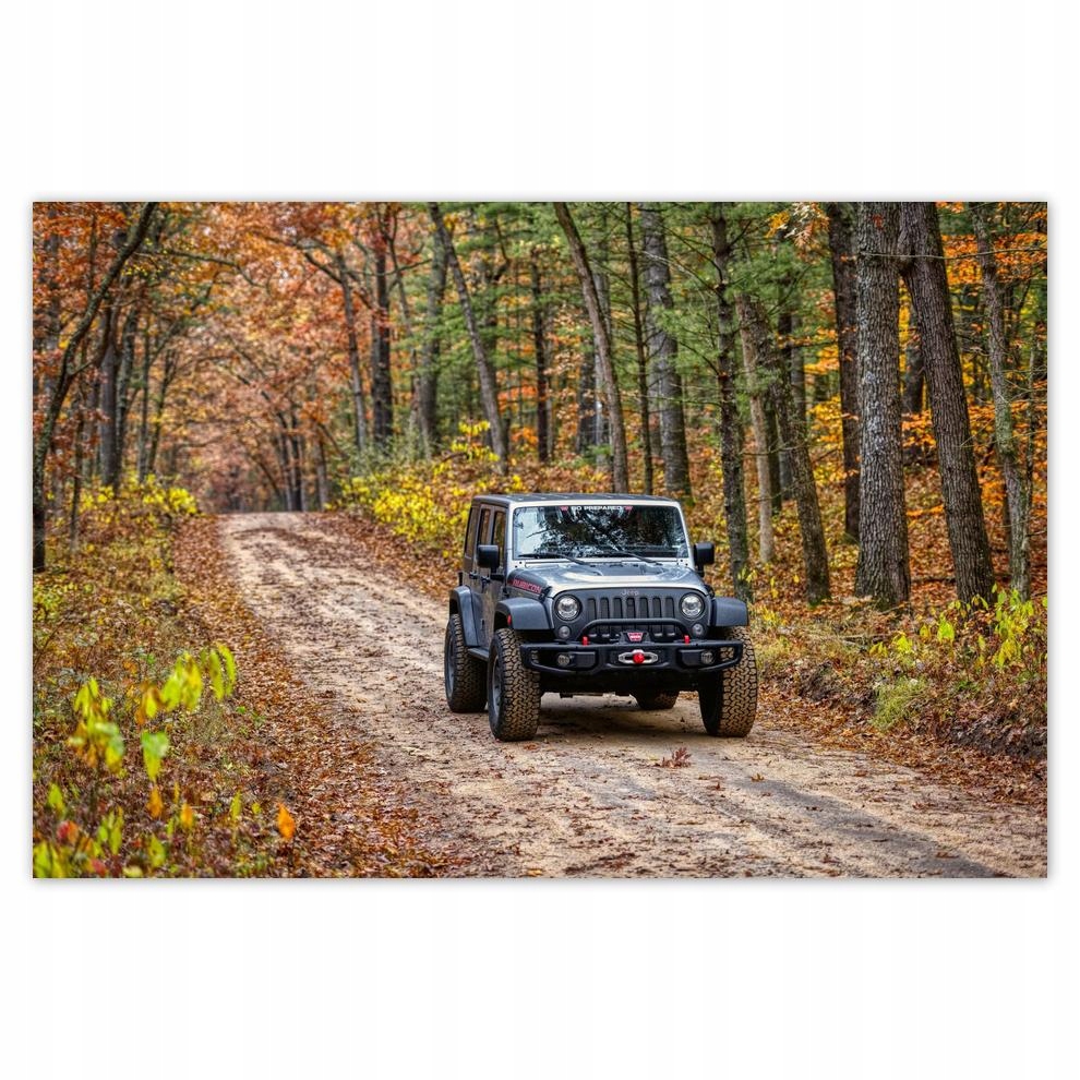 

Plakat 60x40 Jeep Wrangler w lesie