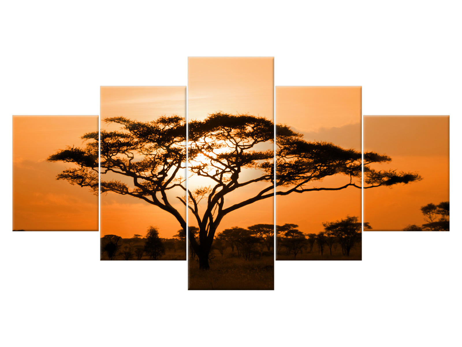 

Obraz Pejzaż afrykański 150x80 Pejzaż 1462A_5F