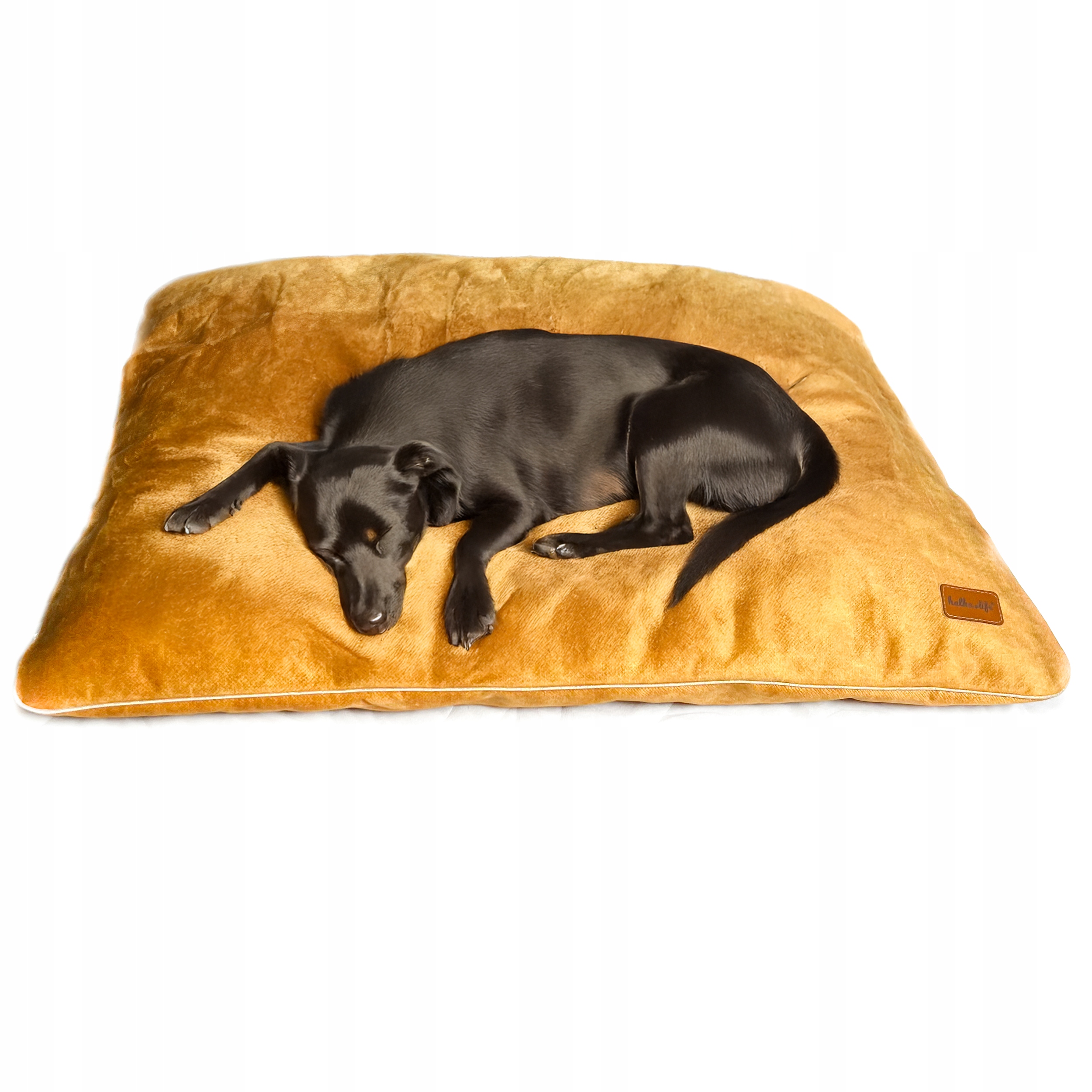 Levně Pelíšek pro velkého psa, velurová poduška Žlutá, XL, 100 x 100 cm