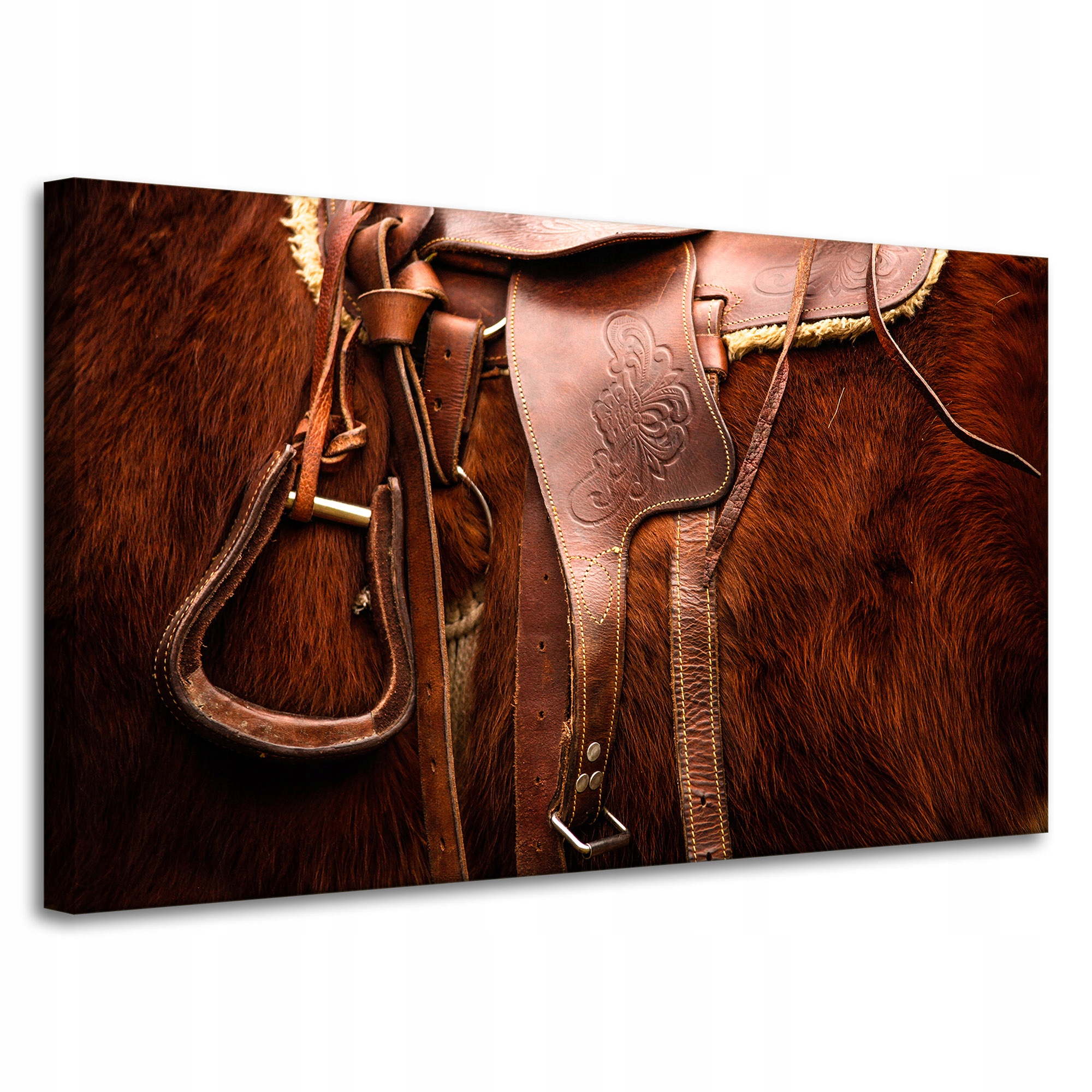 Obrazy na plátně Zvířata Sedlo kůň 100x60 cm
