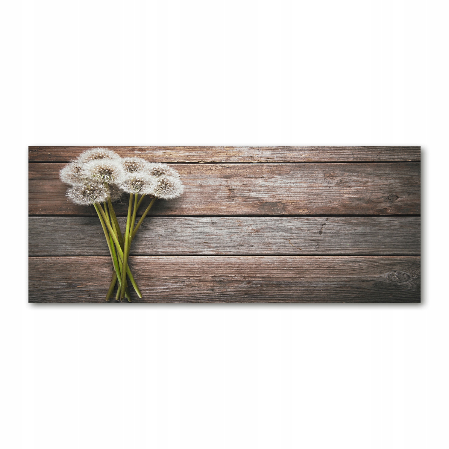 

Foto obraz szkło akryl Dmuchawce drewno 125x50 cm