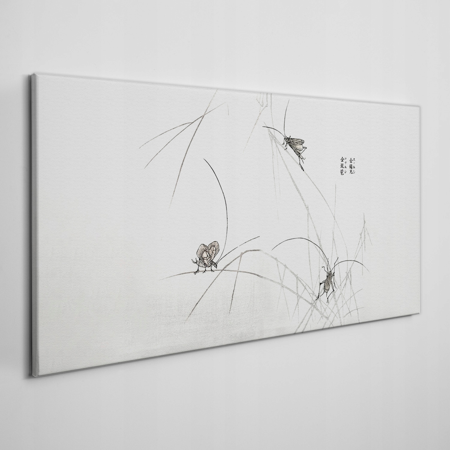 

Obraz na ścianę do salony płótno Owady 100x50 cm