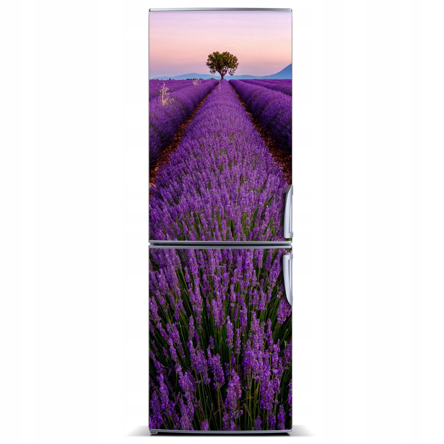 

Magnes na lodówkę magnetyczna Pole lawendy 60x180