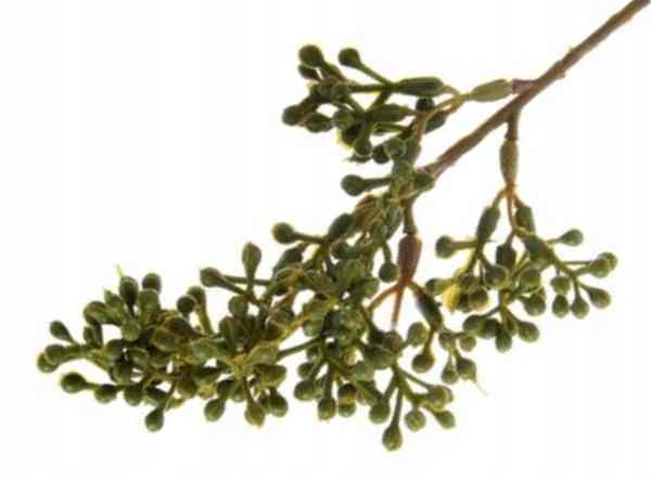 Gałązka z kulkami ozdobna do bukietów Green 20 cm
