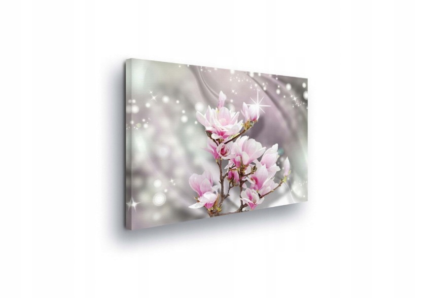 Obraz 80x60 Magnolie květy růžová bílá jaro jemnost elegance