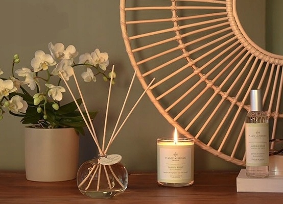 DYFUZOR ZAPACHOWY z Patyczkami BABIE LATO rześki ! Marka Plantes & Parfums Provence