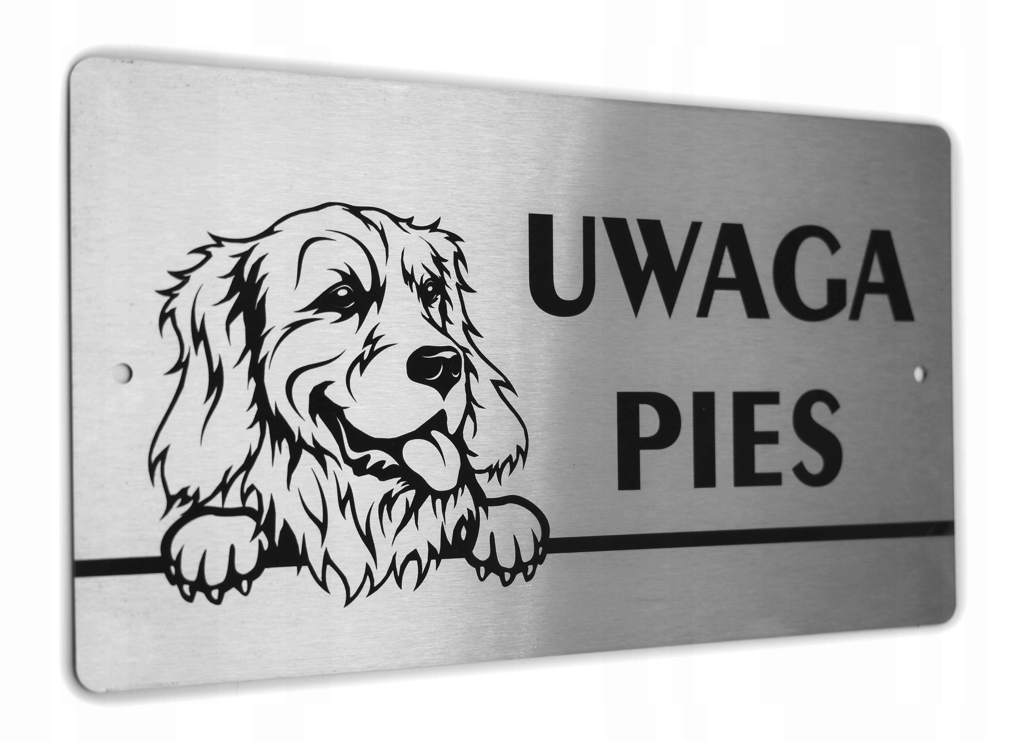 

Tabliczka Inox Uwaga Pies Golden Retriever