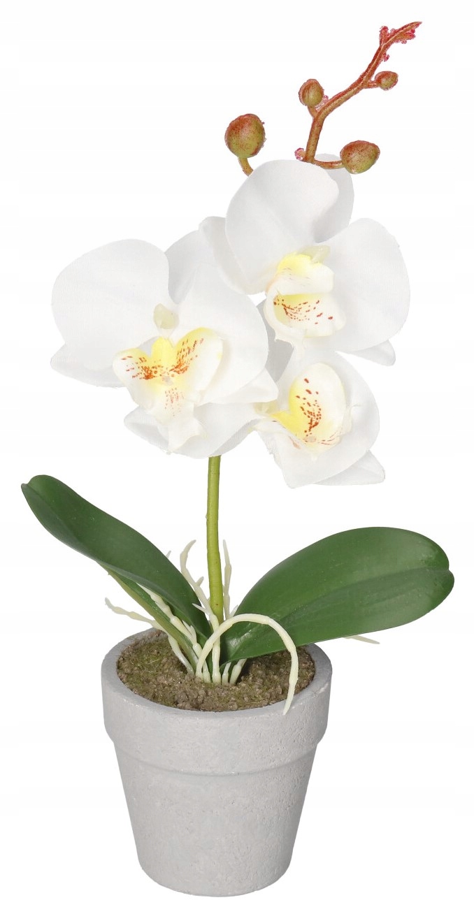 

Sztuczne Kwiaty W Doniczce Storczyk Orchidea