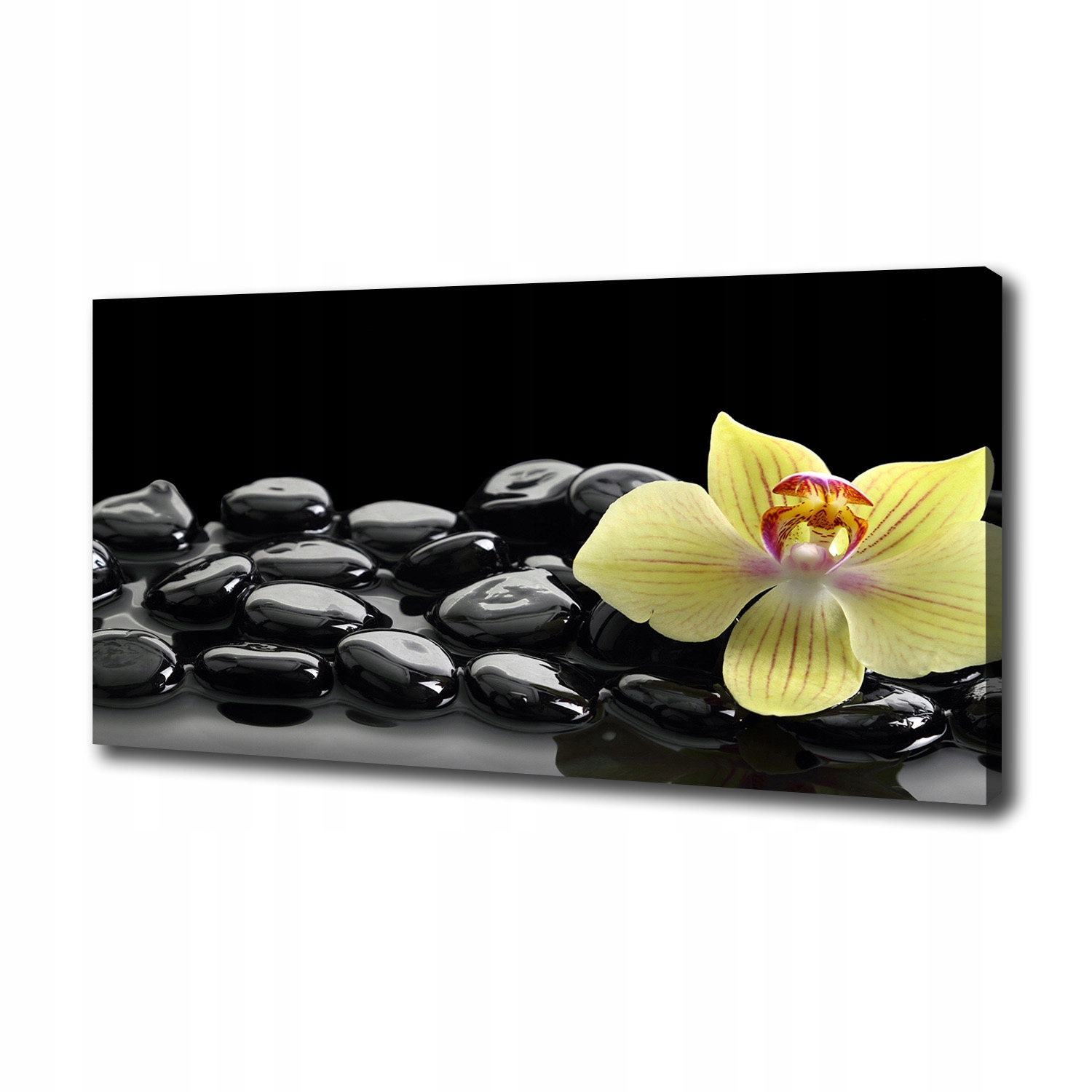Fotoobraz canvas na zeď Orchidej 140 x 70 cm