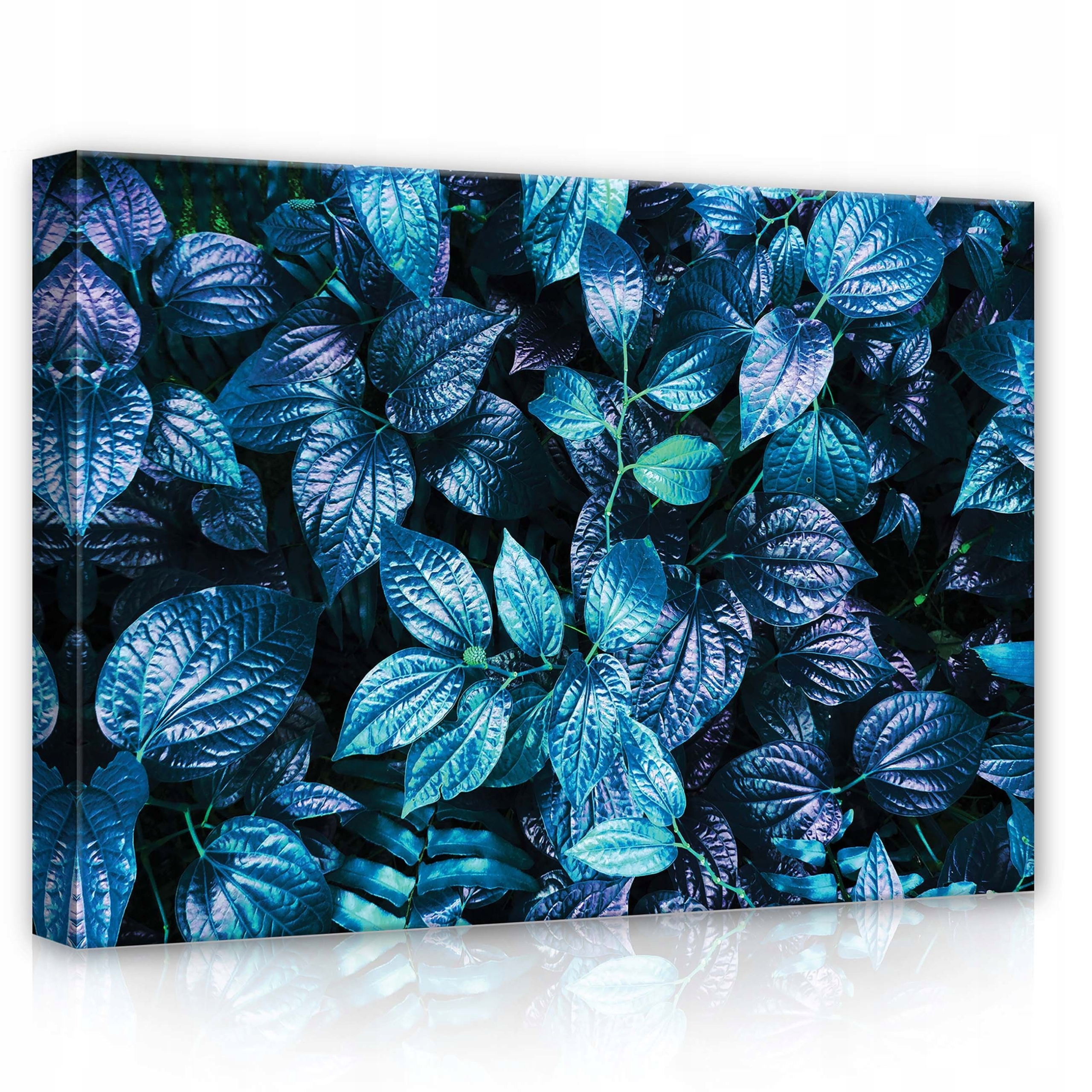 Obraz 70x50 Tropické listy světle modrá fialová lesklá exotika příroda klid