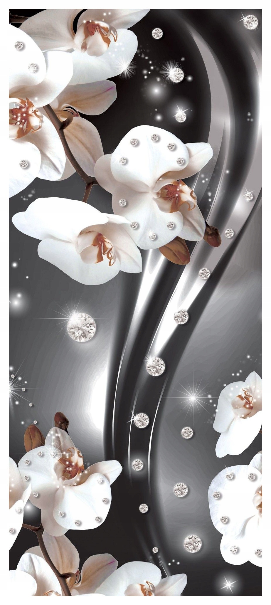 Samolepka Fototapeta Orchideje Elegance a lesk na šedém pozadí 91x211