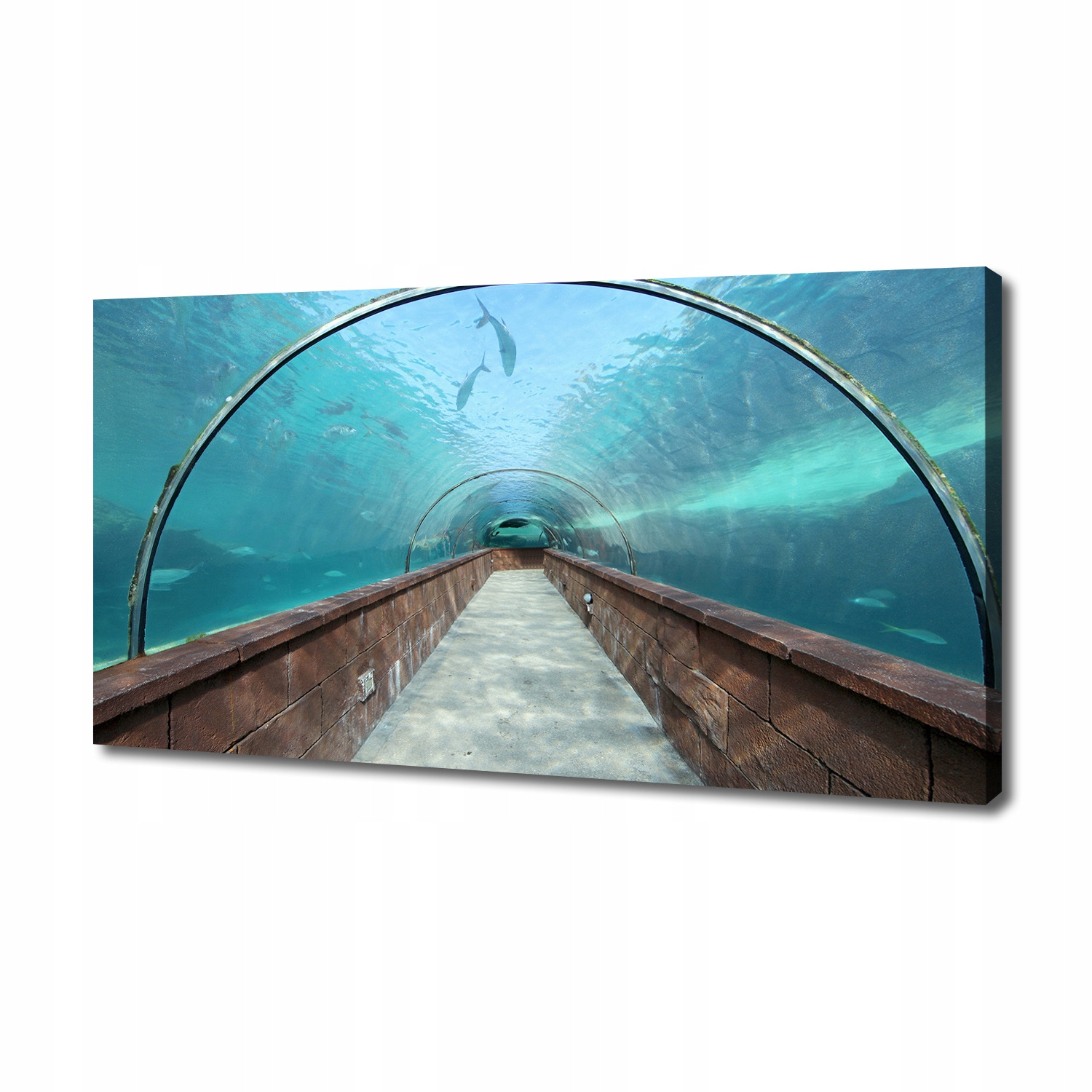 

Foto obraz na płótnie Tunel akwarium 140x70 cm
