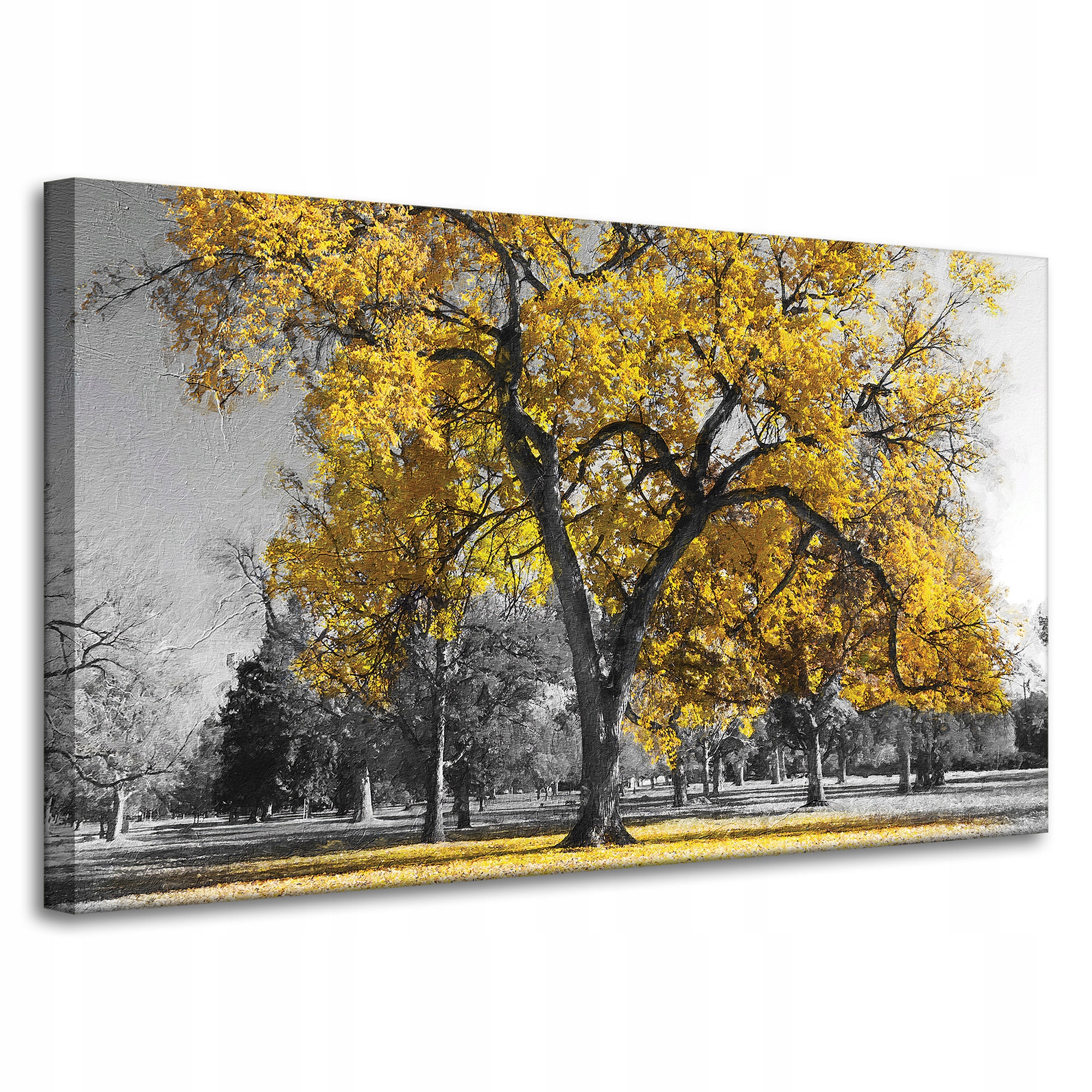 Obraz na plátně Černé Stromy Žluté Listy 100x60 cm Ideální jako dárek