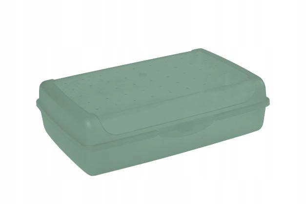 

Pojemnik Na Ciasto Click-Box Maxi Nordic Green 3,7