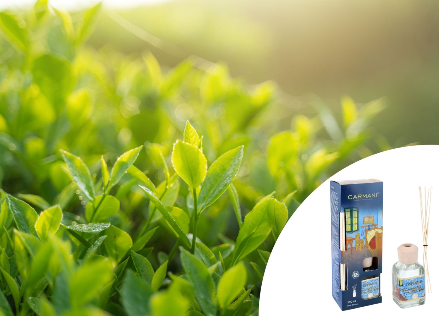 Dyfuzor odświeżacz aromaterapia na prezent van Gogh Pokój zielona herbata Marka Carmani