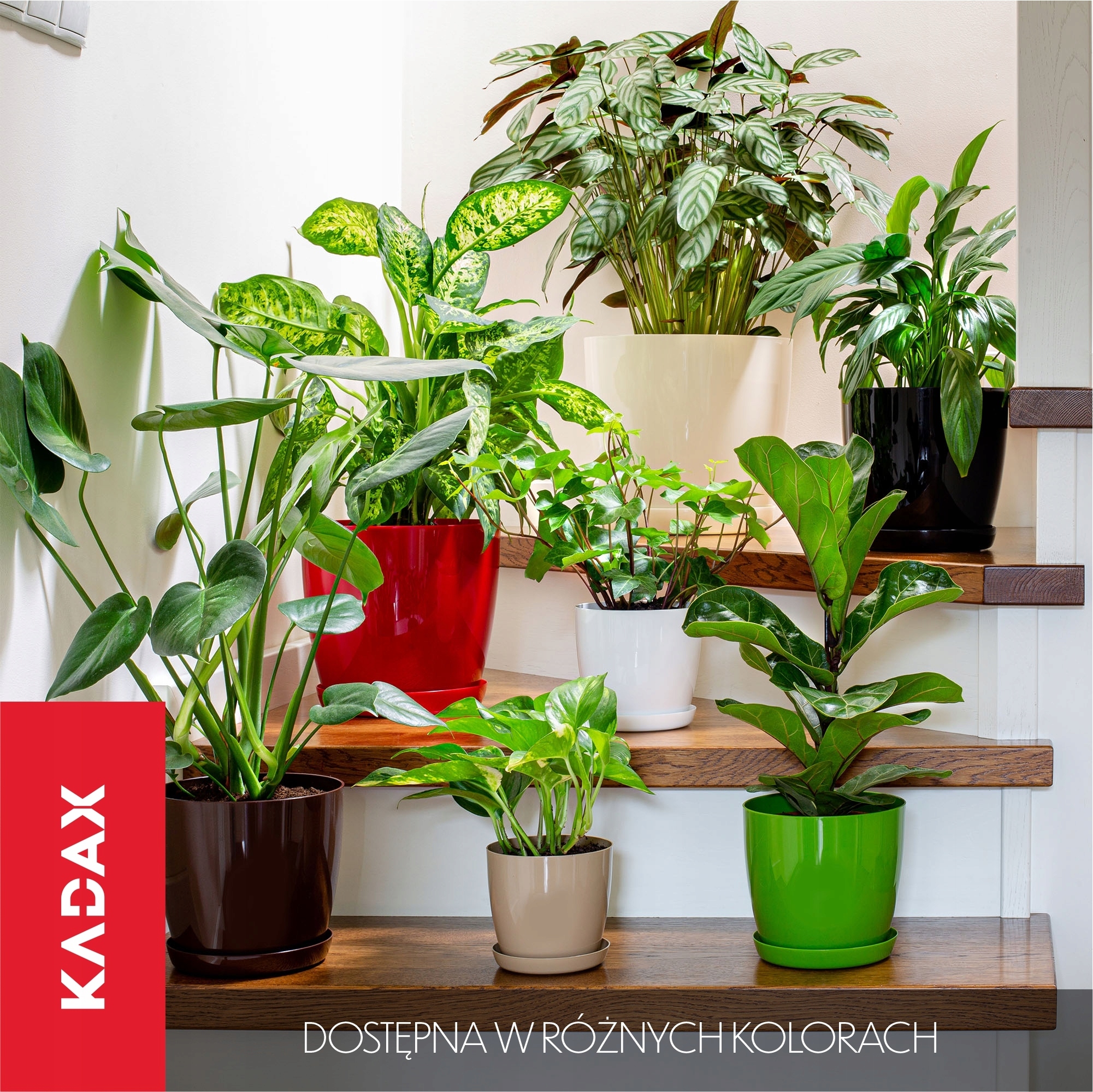 DONICZKA Z PODSTAWKĄ PLASTIKOWA OSŁONKA DONICA 12cm CZERWONA KWIATY KADAX Kolor odcienie czerwieni