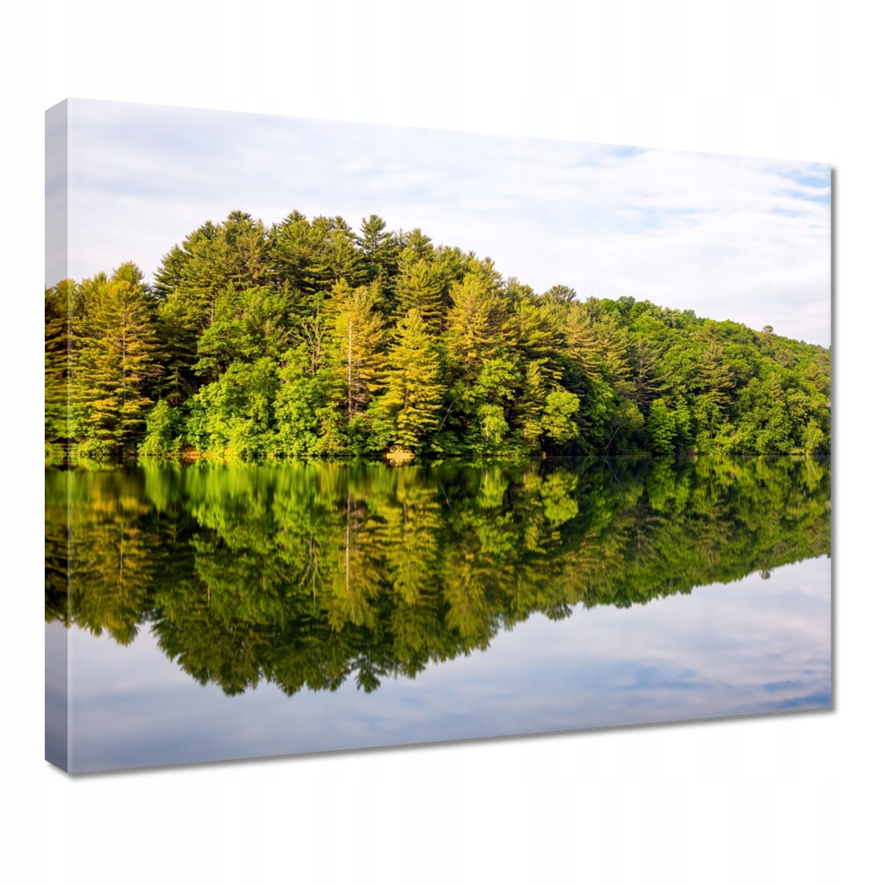 

Obraz 50x40 Las Jezioro Chmury