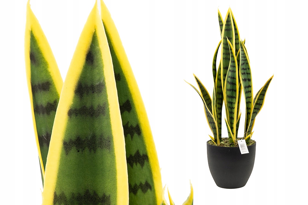 Umelá rastlina Sansevieria v kvetináči 70 cm JF12010653GR.YL