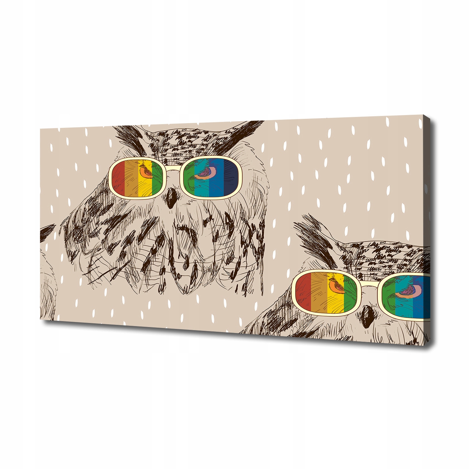 

Foto obraz na płótnie Sowy w okularach 140x70 cm