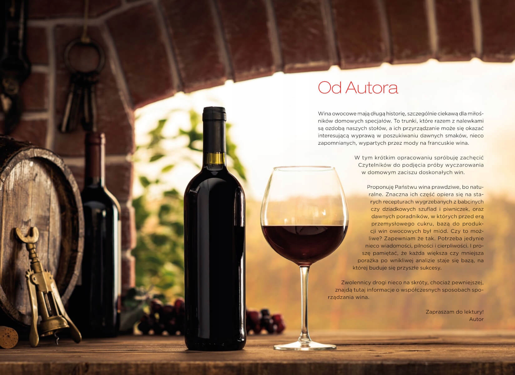 WINA DOMOWE KSIĄŻKA PORADNIK PONAD 100 PRZEPISÓW ISBN 9788383481937