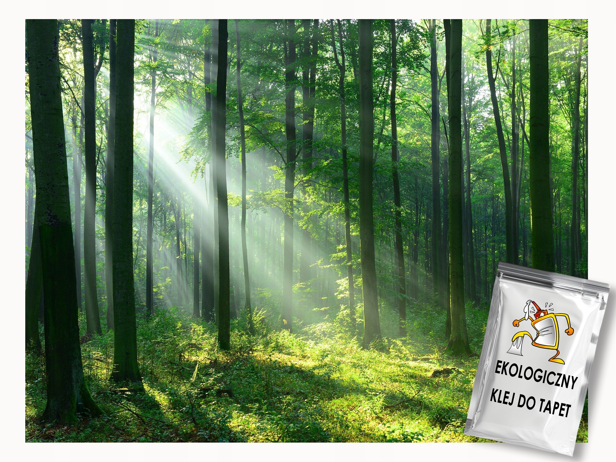 Fototapeta Flizelina Krajina Příroda Les Stromy Zeleň Slunce 350x250 lepidlo