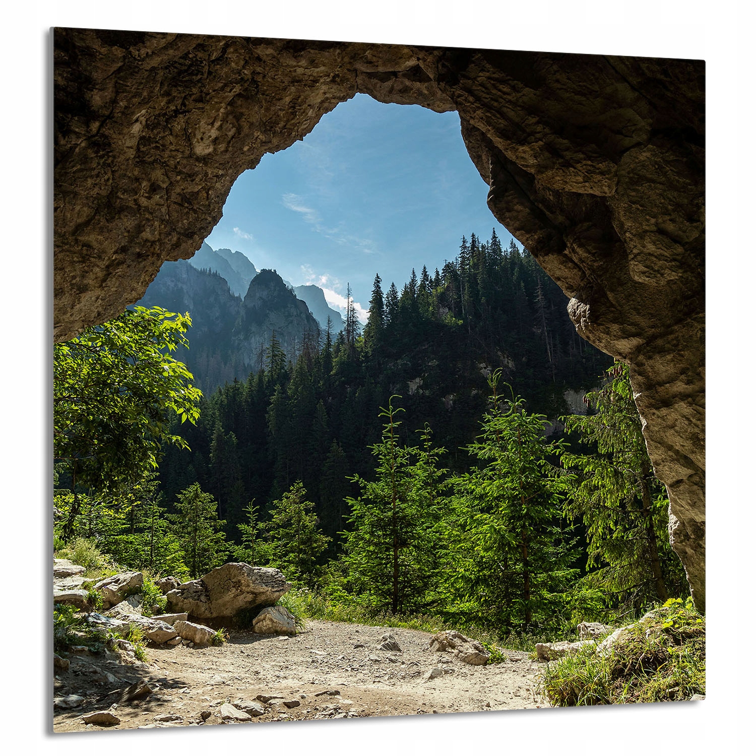 Skleněný Panel Do Kuchyně 60x65 Stromy Tvrzené Sklo