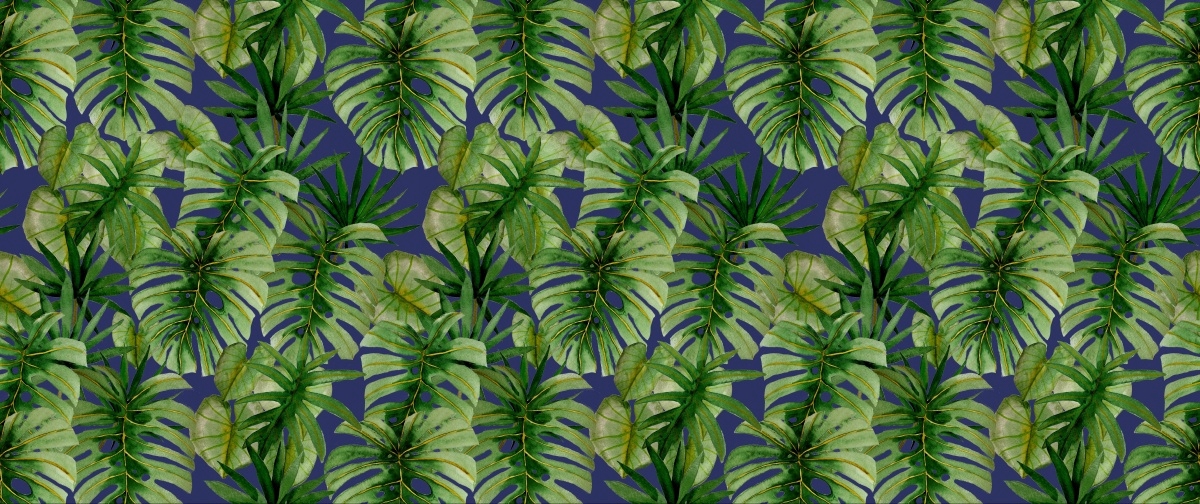 

Tapeta Flizelinowa Tropikalna monstera 250x104