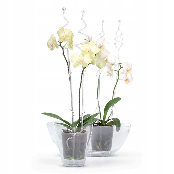 OZDOBNA PODPORA DO STORCZYKÓW ROŚLIN DOMOWYCH PNĄCYCH TRANSPARENTNA = 58cm Rodzaj tyczka